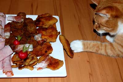 Katze klaut Essen