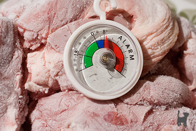 Fleisch und Thermometer